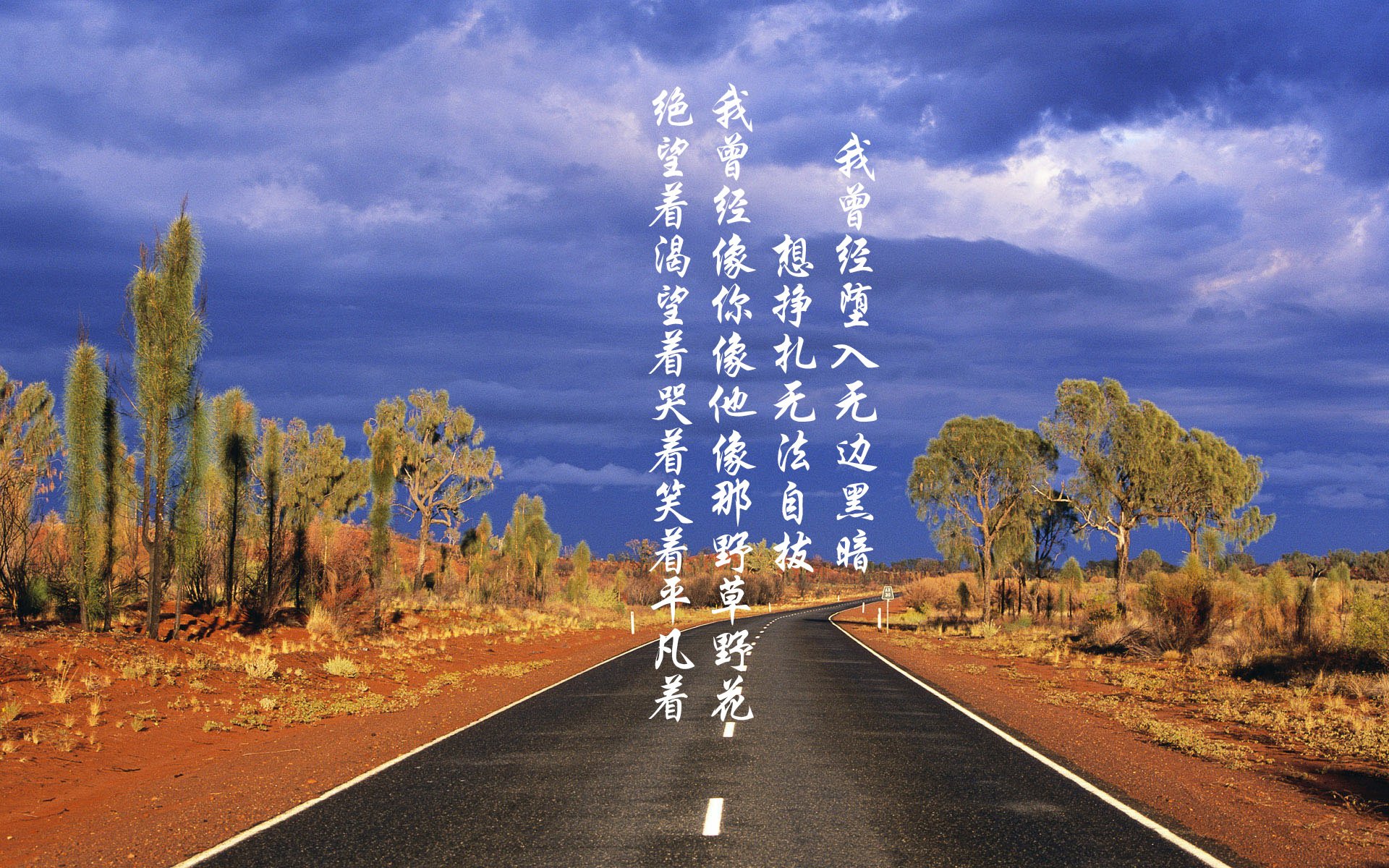 WRC冠军争夺战：车队拼搏只为夺冠，wrc2019冠军车队