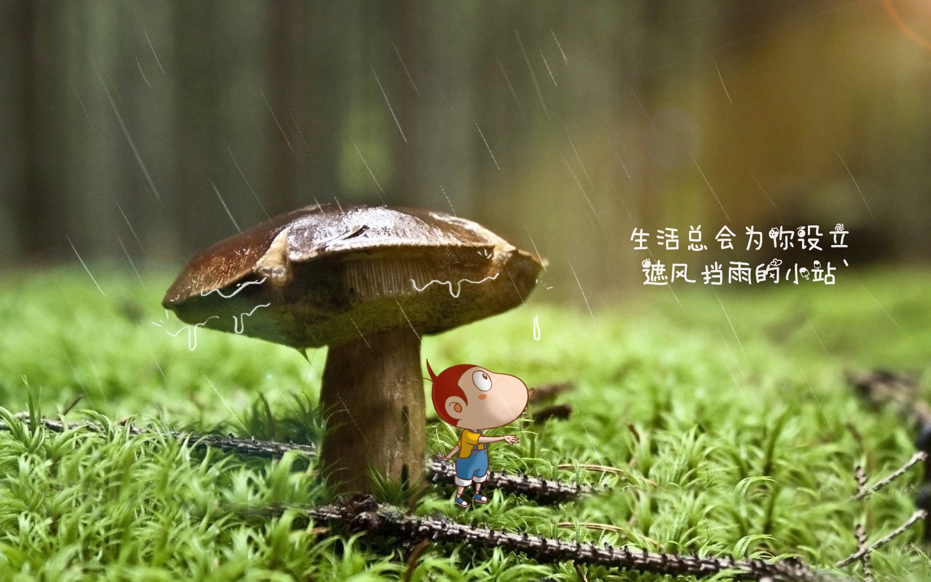 【联盟领跑者】天使队豪取五连胜，天使战队联合创始人
