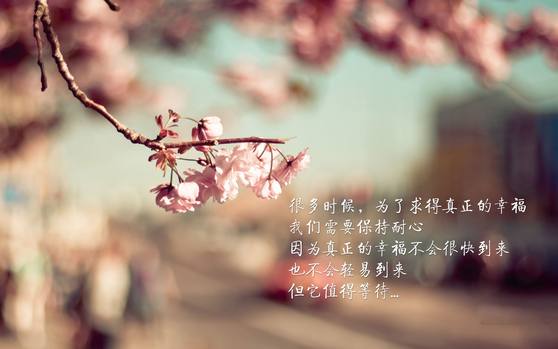 哥伦比亚马术协会与非洲马术协会开展技术援助项目，提升当地水平。