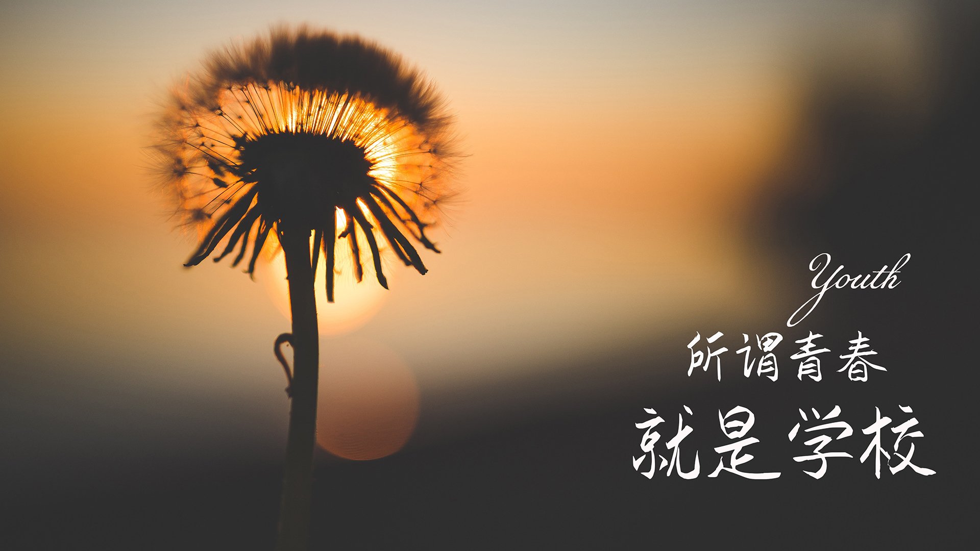 欧国联比赛：哈萨克斯坦队惨遭葡萄牙队绝杀，欧预赛哈萨克斯坦和苏格兰