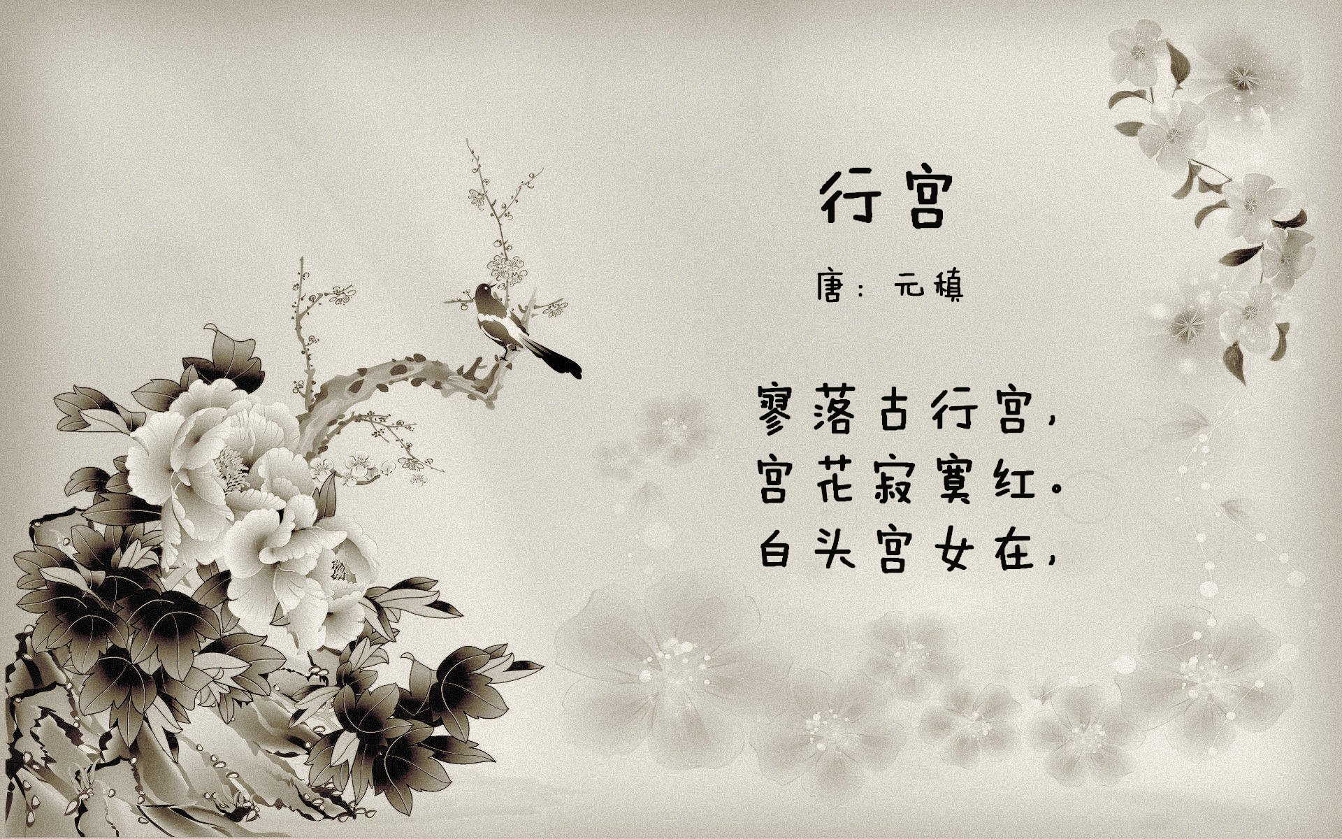 火箭状态回升取得客场胜利，火箭恢复直播了吗