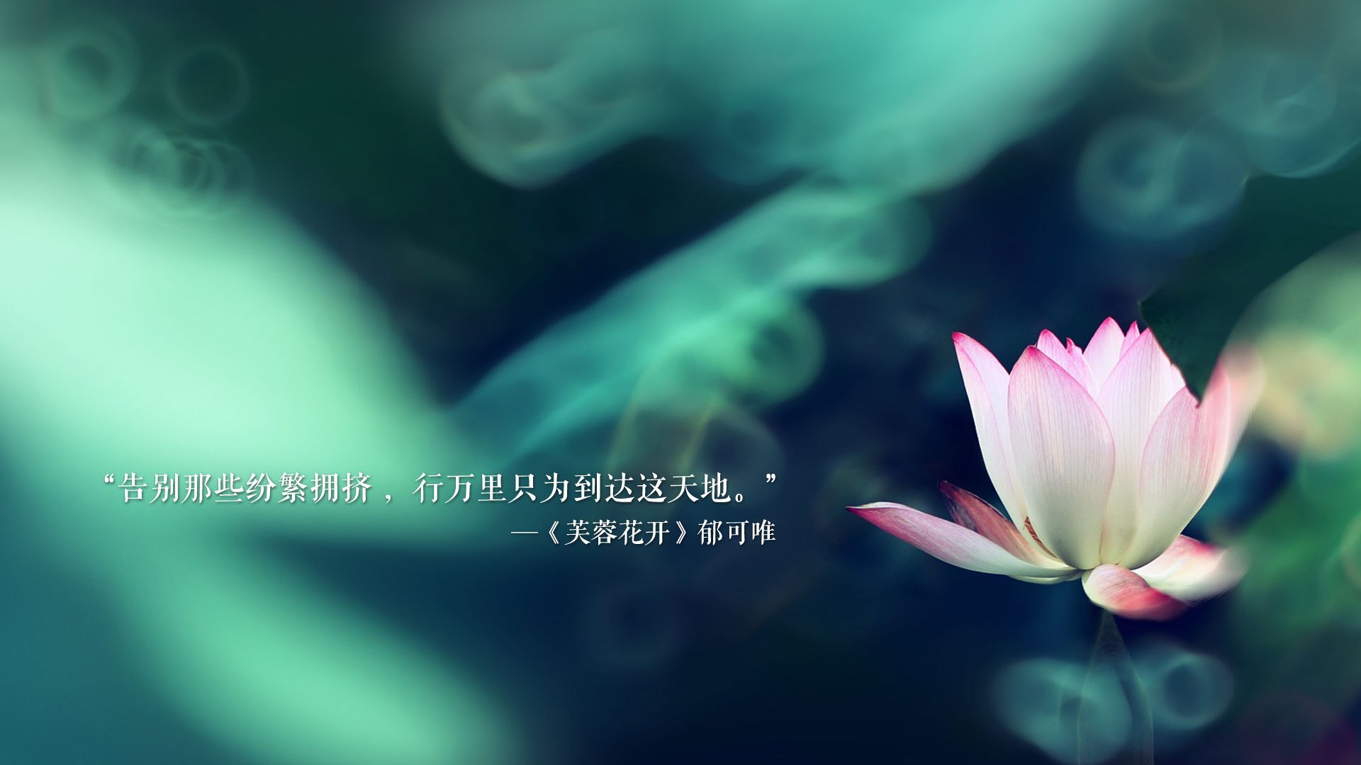 火爆对决引发球迷狂热，胜者笑逐颜开，火爆对决2
