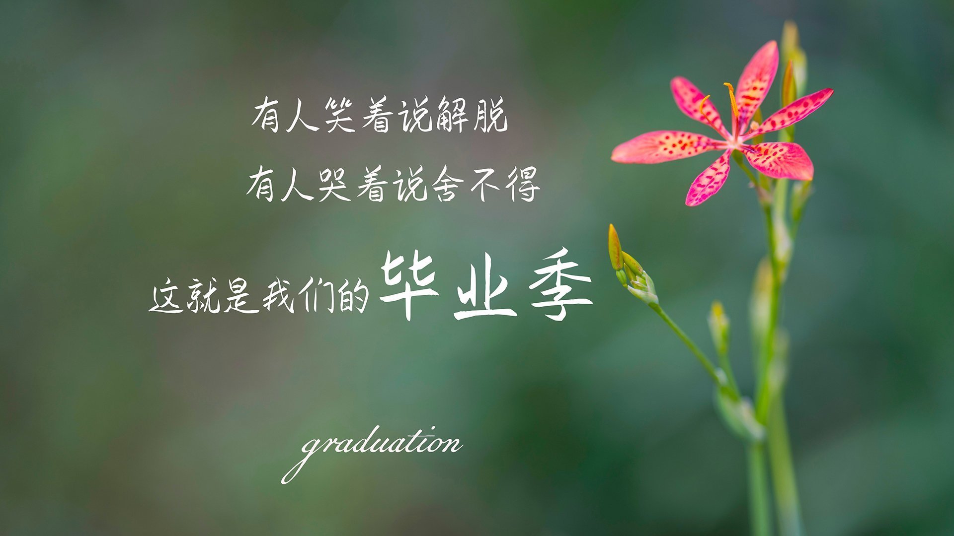 雷霆队快船队焦点战告负，近期状态不佳，雷霆vs快船西部半决赛
