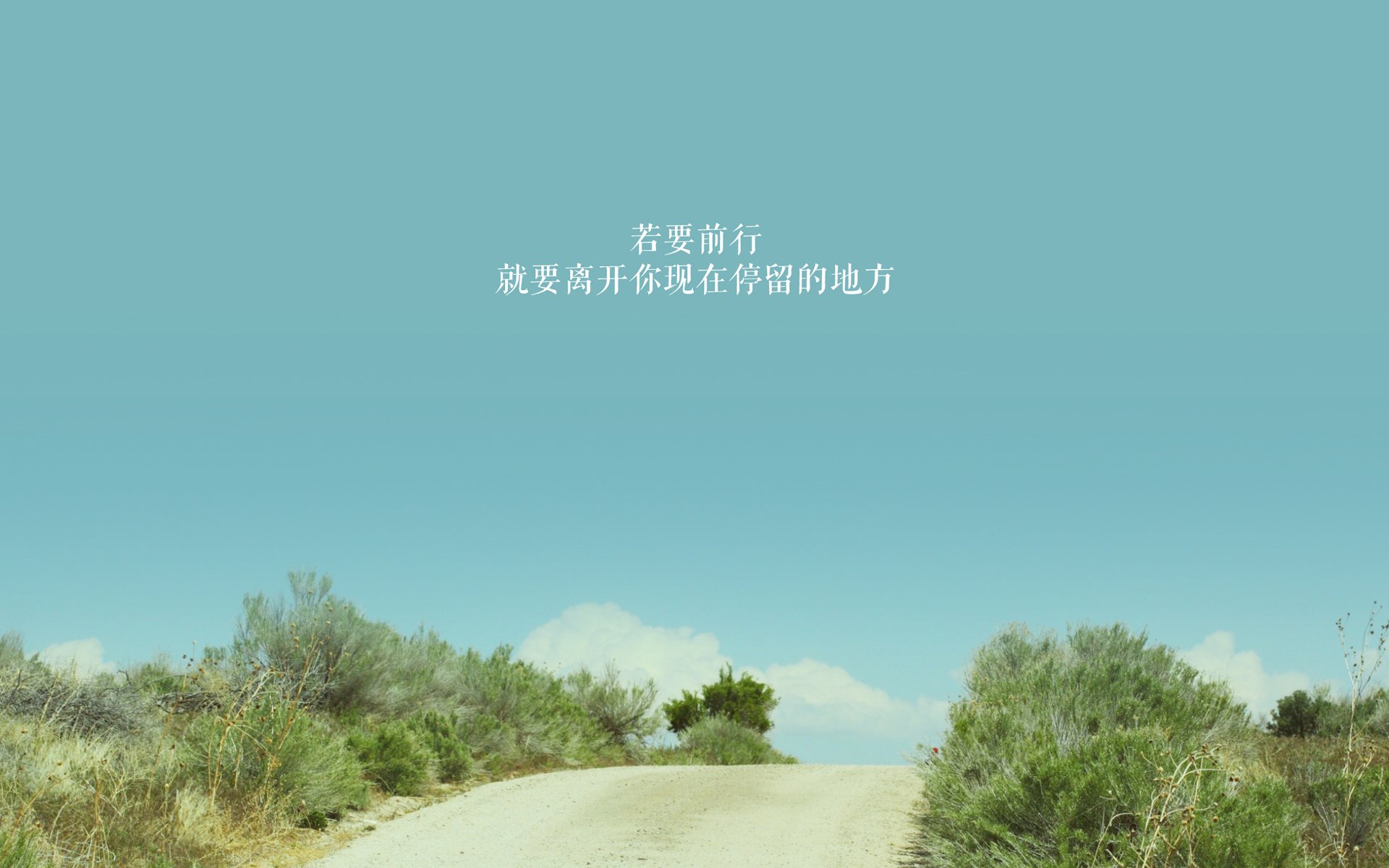 深圳领航队提升换防速度强化整体防守，深圳领航队女领队