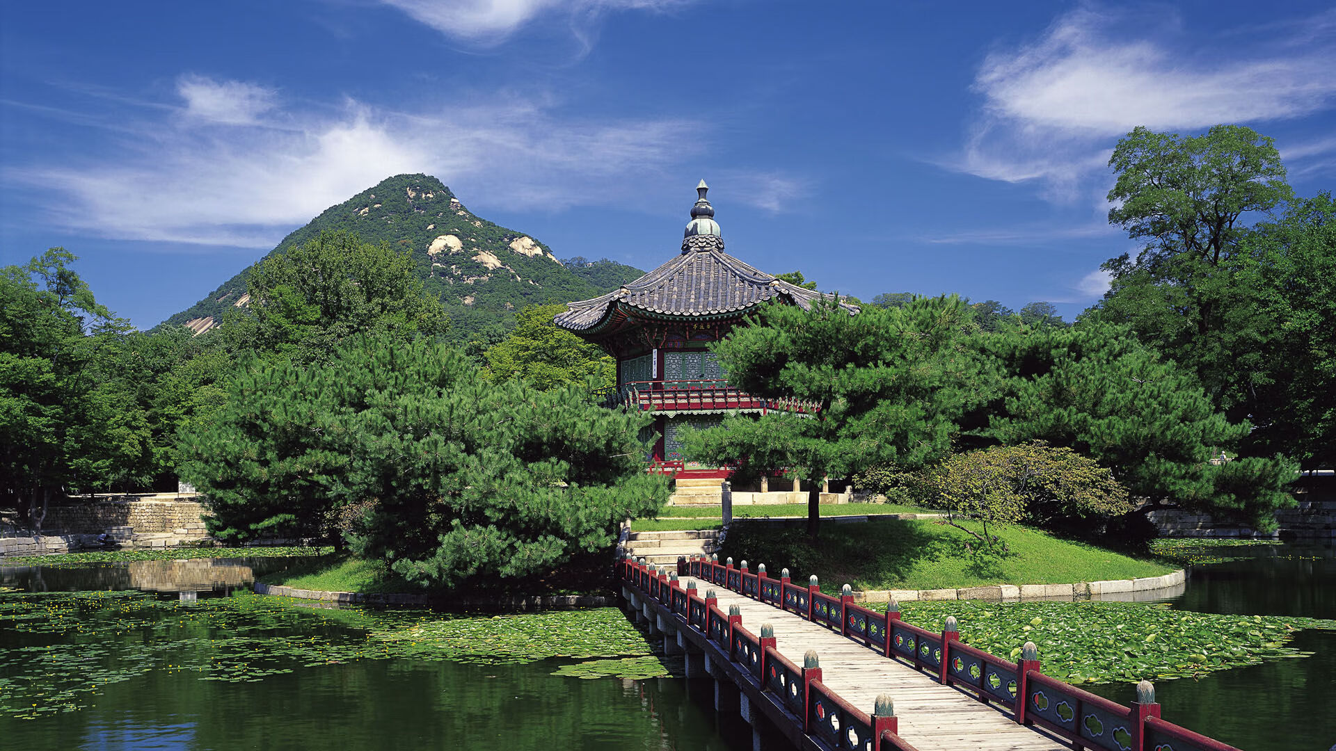 弗朗索瓦·斯图尔特：他的强硬防守助力南非队掌控比赛节奏，弗朗索瓦德尔萨特
